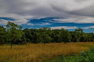 verano paisaje con verde árboles, prado, campos y cielo con blanco nubes foto