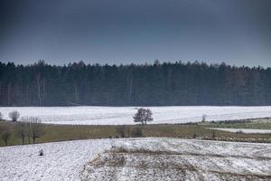 invierno agrícola paisaje con nieve en un nublado día en Polonia foto