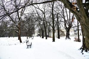 park  in Warsaw Poland on a snowy winter day photo