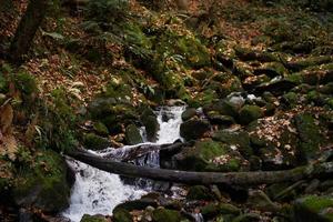 montaña río naturaleza bosque viaje estilo de vida foto