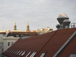 Vienna skyline at dawn photo