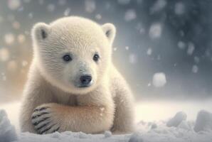 Cute baby polar bear in snow winter. photo