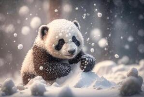 Cute Panda baby playing in snow winter, photo