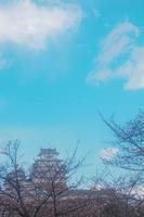 Himeji Castle, Osaka, Japan, 2019 - Himeji Castle in spring surrounded by sakura cherry blossom taken from the castle ground photo