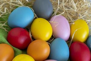 eggs painted in different colors to celebrate Easte photo