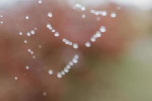 original background with blurry drops forming bokeh photo