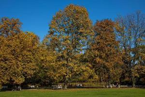 otoño paisaje en un parque en varsovia, Polonia en un calentar soleado día foto