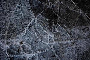 nteresting abstract background with ice close-up on a frozen puddle photo