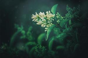 l white flower of a bush close-up against a background of green leaves in sunshine spring day in the park photo