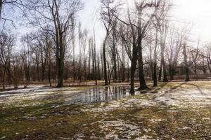 landscape in the park in early spring with melting white snow on a sunny February day photo