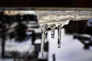 pequeño invierno carámbanos con goteo agua de cerca foto