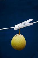 a greenr juicy gourd hanging on a string on a dark blue background photo