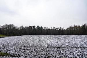 invierno agrícola paisaje con nieve en un nublado día en Polonia foto