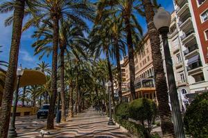 urban landscape with promenade resort in spain Alicante on a sunny day photo