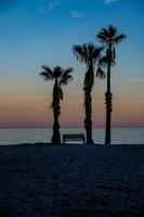 seaside landscape peace and quiet sunset and four palm trees on the beach and a bench photo