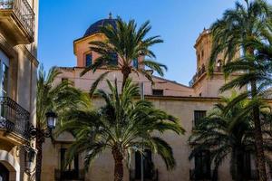 townhouses with palm trees in the city of Alicante spain against the sky photo