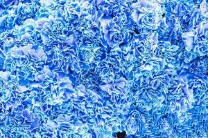 natural blue background with flowers close-up photo