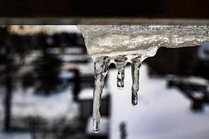 ittle winter icicles with dripping water close-up photo