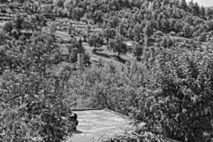 verano paisaje de el turco montañas con verde arboles foto