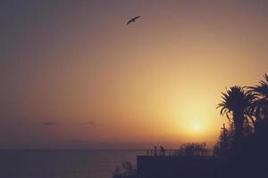 picturesque ocean landscape with the setting sun in a tropical country during summer holidays with palm photo