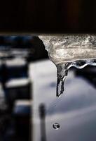 pequeño invierno carámbanos con goteo agua de cerca foto