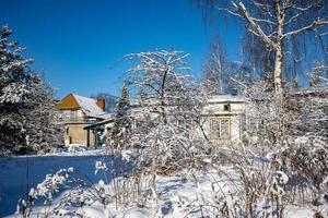 paisaje en un soleado día con casa y yarda con arboles cubierto con nieve foto