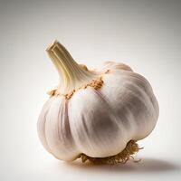 Garlic on white background, photo