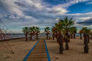 beach in alicante playa del postiguet spain path and palm trees on a sunny day photo