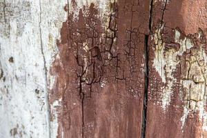 interesante original natural antecedentes desde un antiguo pardusco árbol maletero en de cerca foto