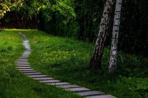 summer landscape stone path among green plants and birches photo