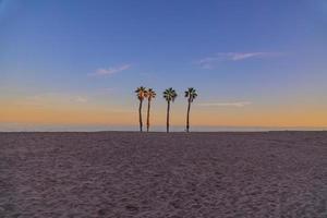 playa paisaje paz y tranquilo puesta de sol y cuatro palma arboles en el playa foto