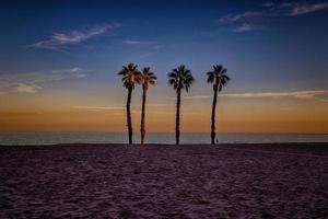 playa paisaje paz y tranquilo puesta de sol y cuatro palma arboles en el playa foto