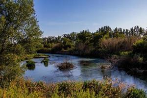 spanish landscape by the Gallego river in Aragon on a warm summer sun day with green trees and blue skies photo