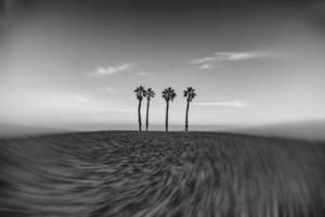 playa paisaje paz y tranquilo puesta de sol y cuatro palma arboles en el playa foto