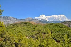 hermosa ver de el turco montañas cubierto con verde bosque en un verano día, foto