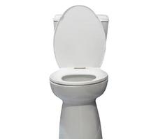 Open moden white toilet bowl after guest's use in resort or hotel restroom isolated on white background with clipping path photo