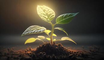 joven planta en luz de sol, creciente planta crecer arriba, generativo ai foto