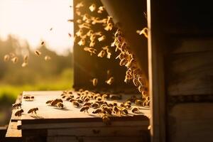 A swarm of bees flying around the hive after a day of collecting nectar from flowers against the setting sun, golden hour. The concept of beekeeping and keeping bees. photo