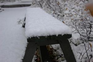 asbyrgi skogur la carretera con un pequeño Nevado banco, dentro el asbyrgi cañón. foto