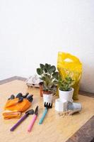 Plants and gardening tools with gloves, pots on marble table. Home gardening concept photo