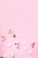 Pattern with delicate petals of cherry blossoms on a pink background. Spring vertical creative background photo