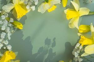 Spring flowers daffodils and gipsofila flat lay frame composition on green background with copy space, top view photo