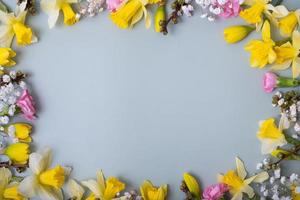 Spring flowers flat lay frame composition on colored background with copy space. Daffodils and willow with carnations top view photo