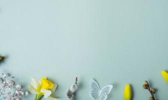 primavera flores plano laico marco composición en de colores antecedentes con Copiar espacio. narcisos y sauce con claveles parte superior ver foto