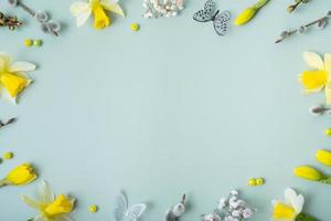 Spring flowers flat lay frame composition on colored background with copy space. Daffodils and willow with butterfly top view top view photo