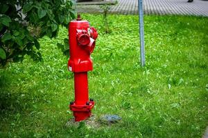 Single red fire hydrant on green lawn ner road and green hedge in summer sun photo