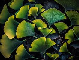 Ginkgo biloba green leaves background created with technology photo