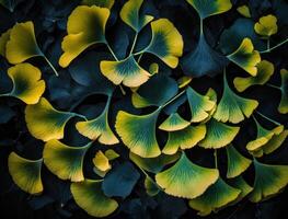 Ginkgo biloba green leaves background created with technology photo