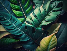 Abstract green Tropical Banana and Monstera Leaves background created with technology photo