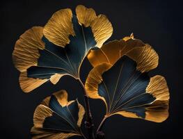 Ginkgo biloba golden leaves Dark background created with technology photo